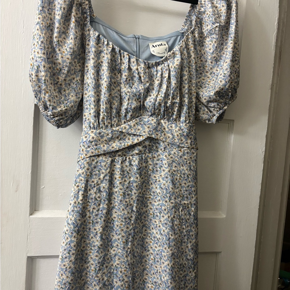 Aratta Blue Floral Women's Dress